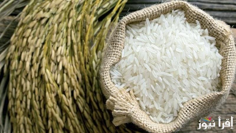 بكام طن عريض و رفيع الحبه؟.. أسعار الأرز الشعير اليوم الأربعاء 26 فبراير 2025 وأسعار السلع الغذائية في الأسواق المصرية