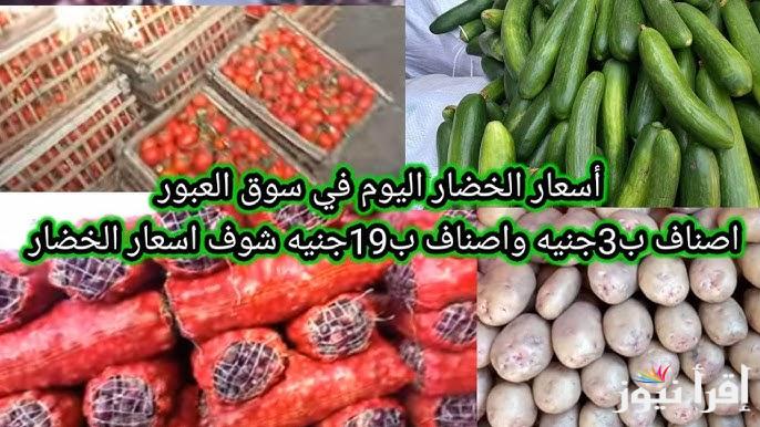 تسعيرة انهاردة .. أسعار الخضروات في سوق العبور اليوم السبت الأول من فبراير 2025 | البطاطس بـ5.5 جنيه
