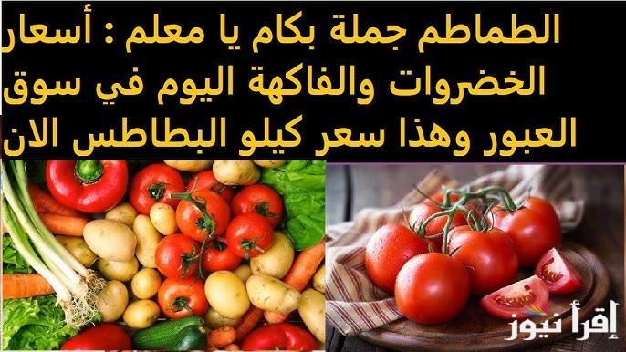 انخفاض الطماطم وارتفاع البطاطس .. أسعار الخضروات في سوق العبور اليوم الثلاثاء 4 فبراير 2025 | أسعار الفاكهة انهاردة
