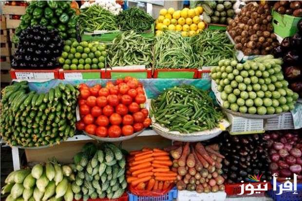 خزني قبل رمضان| أسعار الخضروات في سوق العبور اليوم الخميس 13 فبراير 2025 وأسعار الفاكهة