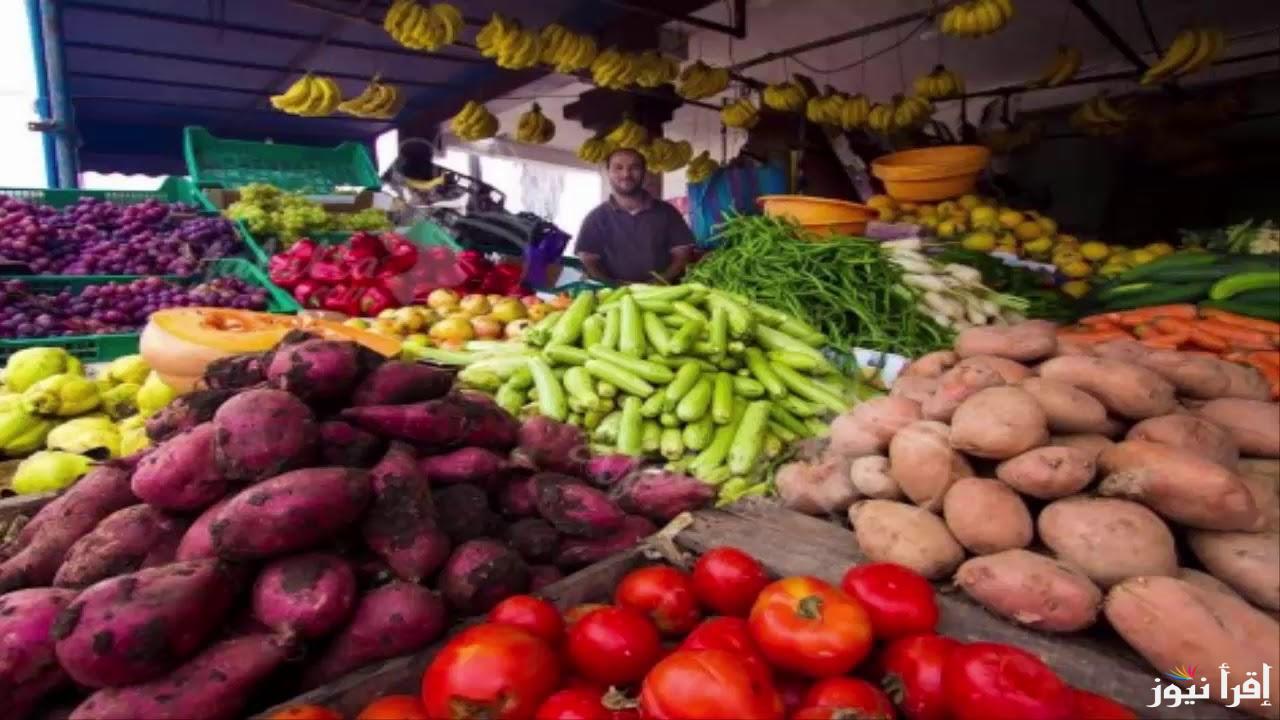 آخر تحديث.. أسعار الخضروات في سوق العبور اليوم الأحد 16 فبراير 2025