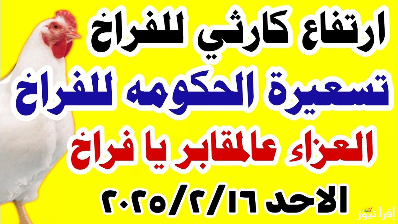 الفراخ طااارت.. أسعار الفراخ البيضاء في بورصة الدواجن اليوم الأحد 16/2/2025 للتاجر والمُستهلكين || بلدي وأمهات وساسو
