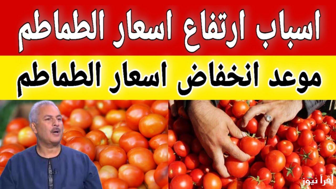 ارتفاع أسعار الطماطم اليوم الخميس 6 فبراير 2025 وأسعار الفاكهة في سوق العبور