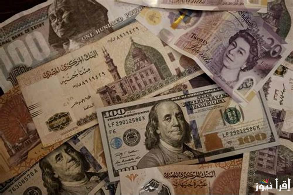 “الأخضر وصل كام” ارتفاع سعر الدولار اليوم في السوق السوداء مقابل الجنيه المصري الخميس 13 فبراير 2025