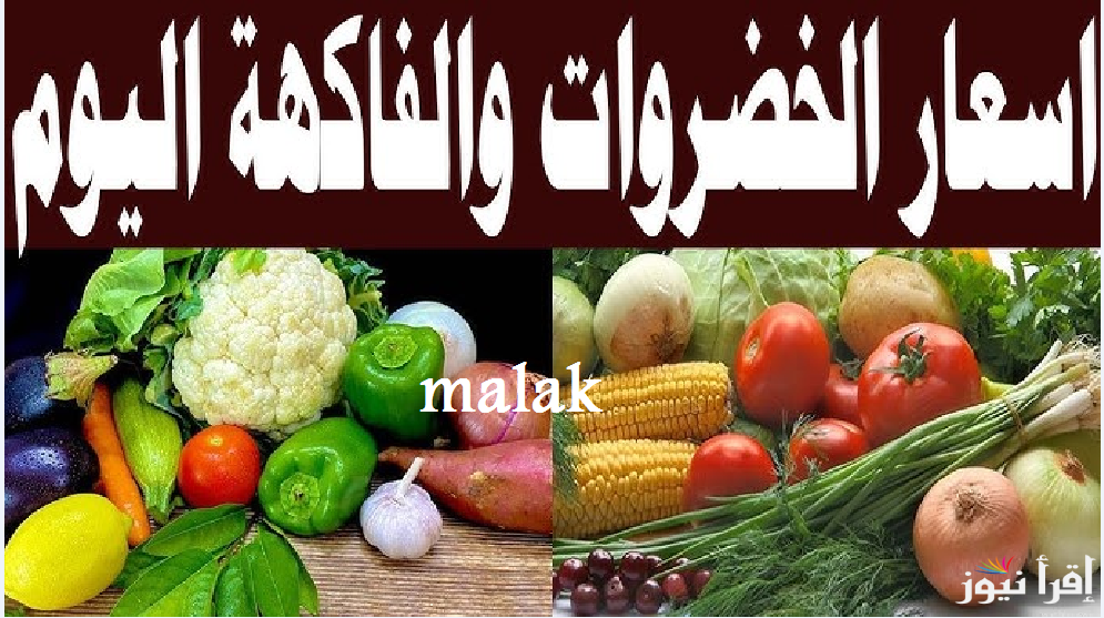 “الطماطم 3 كيلو ب 10” أسعار الخضار اليوم الأربعاء 12 فبراير 2025 في الأسواق