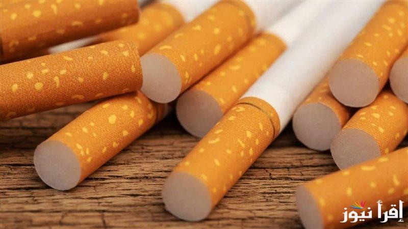 ” علبة ميرت بقت بـ 100 جنيه” اسعار السجائر الجديدة 2025 وفقاً لقرار شركة الشرقية للدخان