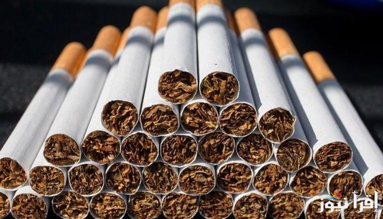 العلبة وصلت كام ؟.. اسعار السجائر اليوم السبت 22 فبراير 2025 في الاسواق المصرية