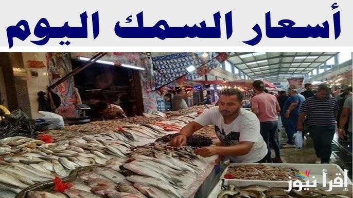 البلطي وصل لكام؟.. اسعار السمك اليوم الاحد 9 فبراير 2025 في سوق العبور