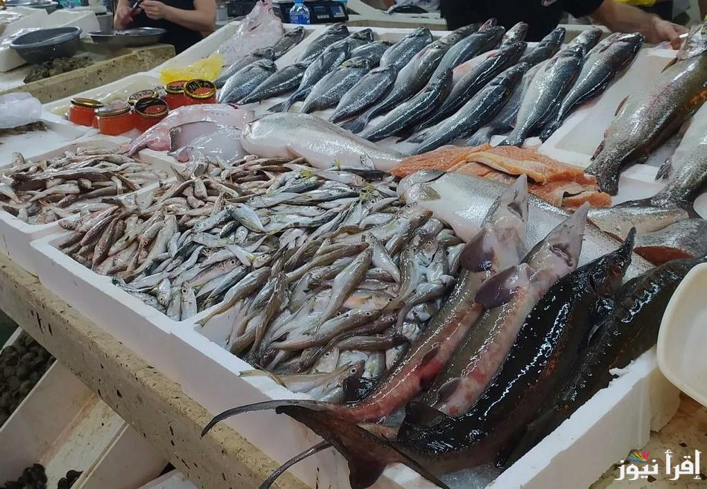 كيلو البلطي هيبقي بـ100؟ اسعار السمك اليوم السبت 22 فبراير 2025 داخل الأسواق المحلية المصرية
