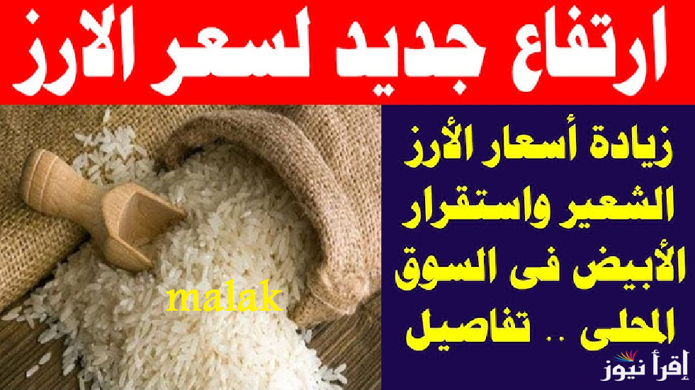 “الاردب وصل كام” سعر الأرز الشعير اليوم الاحد 16-2-2025 في الاسواق المحلية