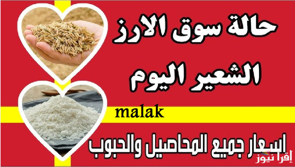 “مفاجأة غير متوقعة” سعر الأرز الشعير اليوم الأحد 2 فبراير 2025 في الأسواق المحلية وللمستهلك