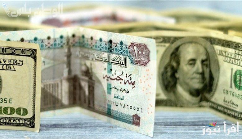 ثبات نسبي.. سعر الدولار في السوق السوداء اليوم 5/2/2025 مقابل الجنيه المصري بالبنوك والمصارف