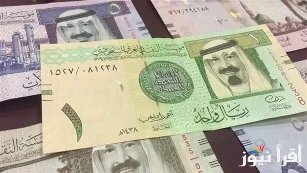 سعر الريال السعودي مقابل الجنيه المصري اليوم الأحد 23 مارس 2025 واستقرار الأسعار بالبنوك