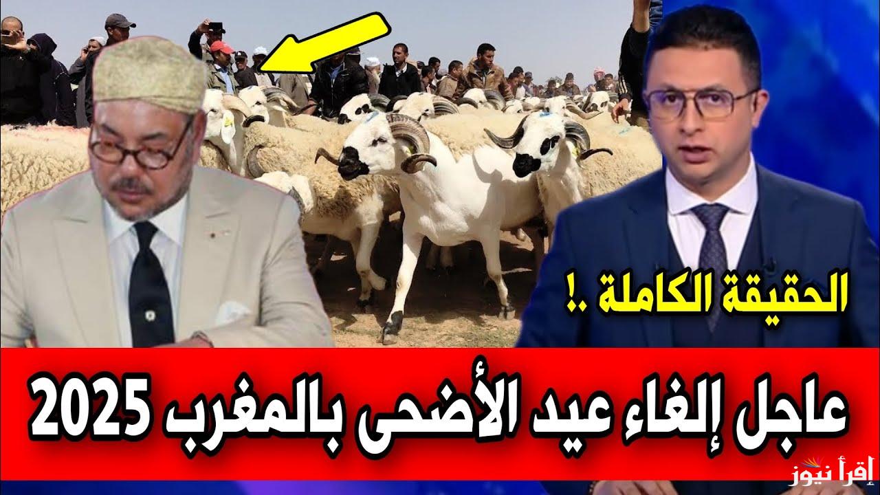 الغاء عيد الاضحى بالمغرب 2025 جدل حول إلغاء شعيرة الأضحية بالمغرب ورسالة هامة للشعب