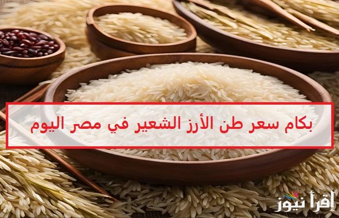 خزني قبل رمضان «رفيع وعريض الحبة» بكام سعر طن الأرز الشعير في مصر اليوم وقائمة السلع لشهر فبراير 2025