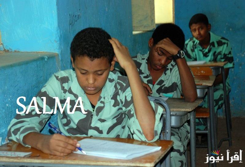 “LINK مباشر” رابط الاستعلام عن نتيجة الشهادة السودانية 2025 جميع الولايات