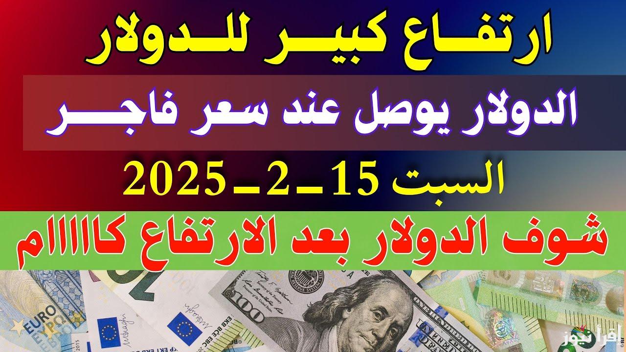 دولار ويورو وريال.. تحديث أسعار العملات اليوم في مصر السبت 15 فبراير 2025 في البنوك والسوق السوداء