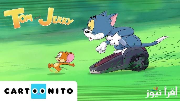 تثبيت تردد قناة توم وجيري 2025 Tom and Jerry علي النايل سات وعرب سات