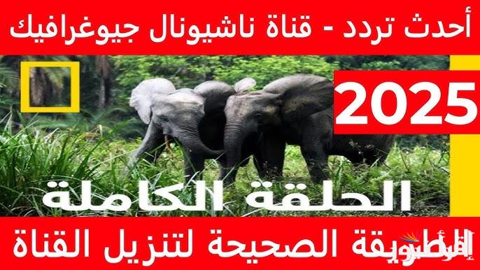 استقبل الأن تردد قناة ناشيونال جيوغرافيك نايل سات وعرب سات 2025 National Geographic Channel