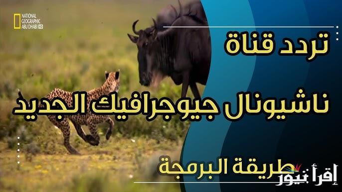 تردد قناة ناشيونال جيوغرافيك الجديد National Geographic وخطوات تنزيلها عبر القمر الصناعي نايل سات وعرب سات