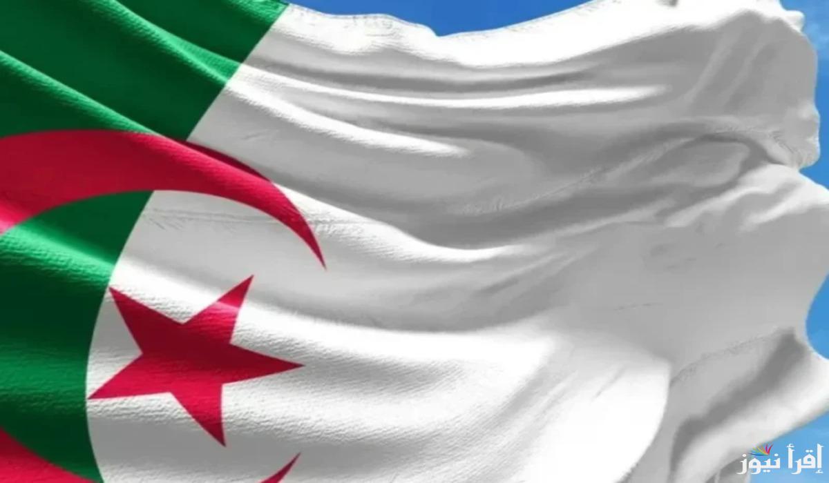 تطبيق زيادة العمل في الجزائر 2025 .. خطوة نحو تحسين الأداء وخدمة المواطنين