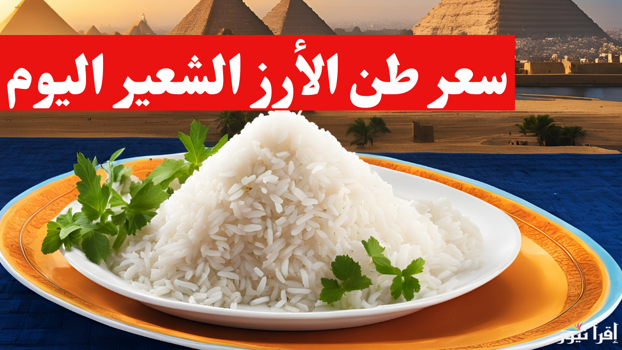 الحقي خزني لرمضان.. سعر طن الأرز الشعير اليوم الخميس 27 فبراير 2025 في جميع الأسواق المصرية