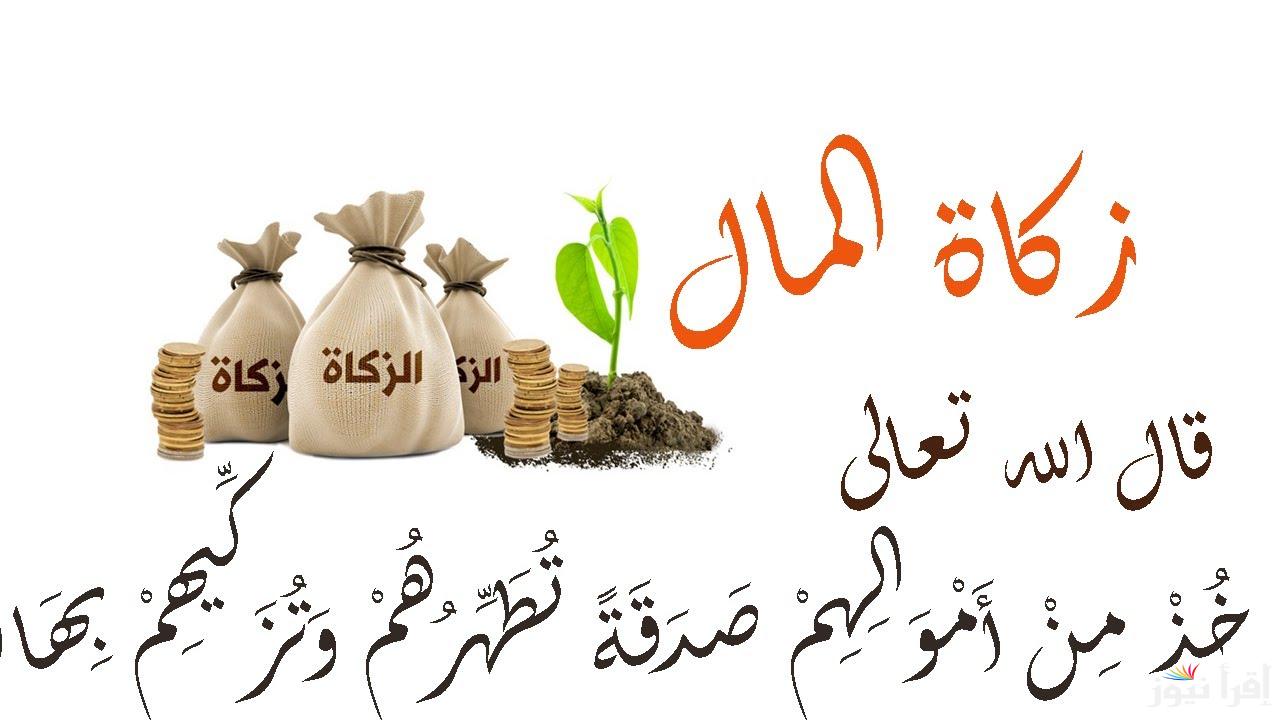 حكم اخراج زكاة المال شنط رمضان و هل من الأفضل إخراج الزكاة نقدًا أم عينيًا؟