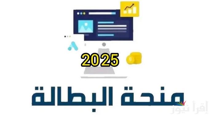 الوكالة الوطنية تُعلن .. خطوات تجديد منحة البطالة في الجزائر 2025 عبر موقع anem.dz وأهم الشروط اللازمة للتقديم