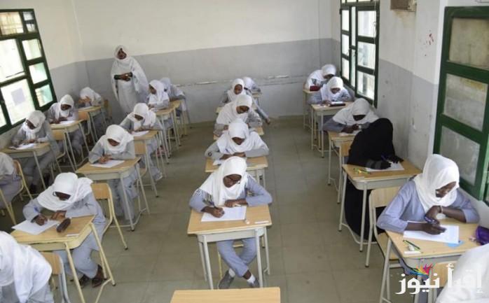“لينك شغال” رابط استخراج نتائج الشهادة السودانية 2025 عبر الموقع الرسمي لوزارة التربية والتعليم في السودان