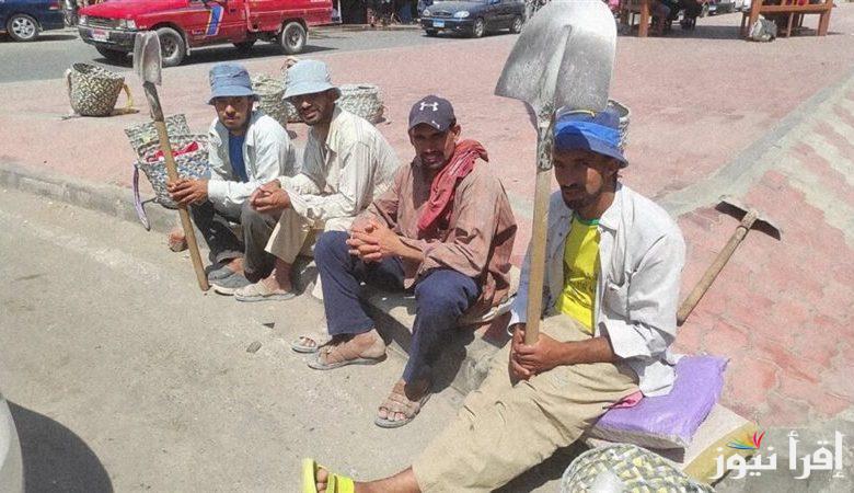 منحه 1000 جنية .. رابط التسجيل في منحة العمالة الغير منتظمة 2025 والشروط التي وضعتها الدولة للحصول عليها