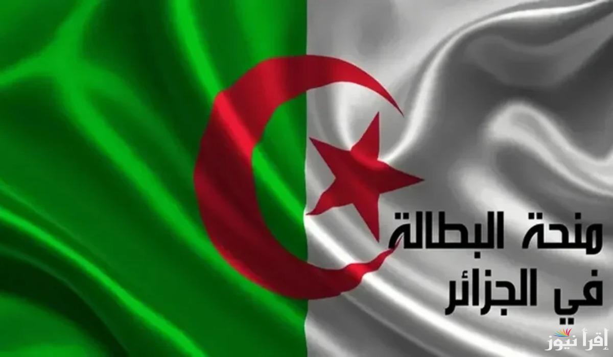 “استفد من دعم الدولة” تعرف على كيفية التسجيل في منحة البطالة 2025 عبر الموقع الرسمي