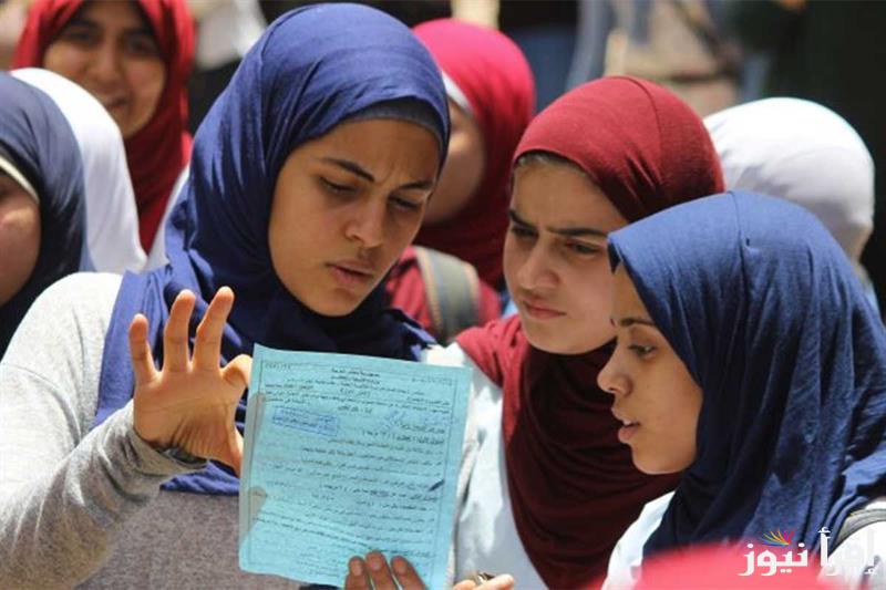 رابط نتائج التمهيدي المهني 2025 العراق عبر nataegna.net لجميع المحافظات