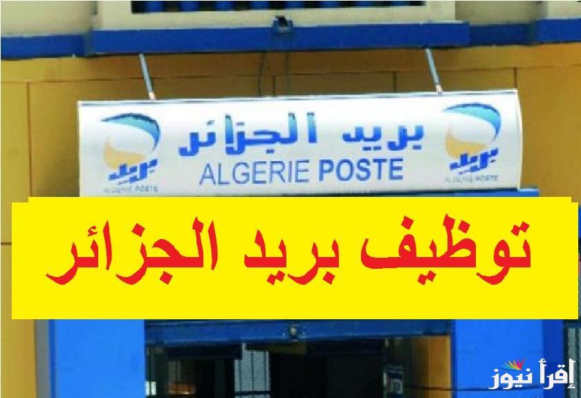 رابط نتائج مسابقة توظيف بريد الجزائر 2025 عبر موقع المنصة الرقمية للبريد eccp.poste.dz