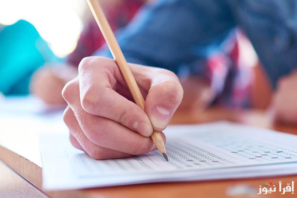 3 إعدادي .. رابط نتيجة الصف الثالث الإعدادي الترم الأول 2025 محافظة القاهرة عبر بوابة التعليم الأساسي