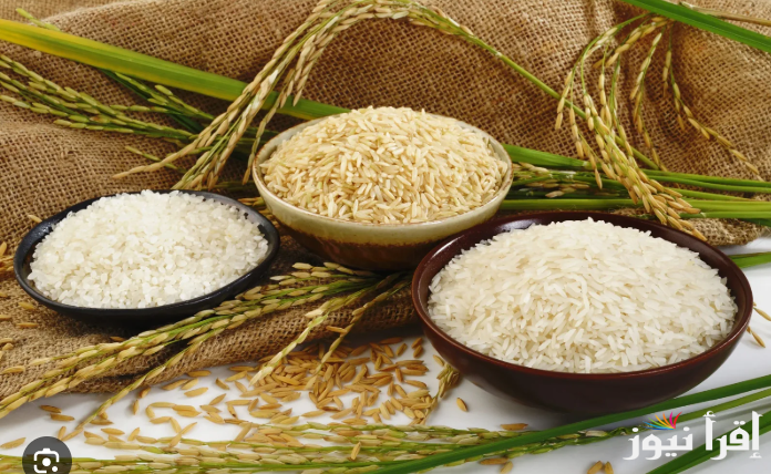 سعر طن الأرز الشعير اليوم الاثنين 24 فبراير 2025 في الأسواق المصرية مع حلول شهر رمضان