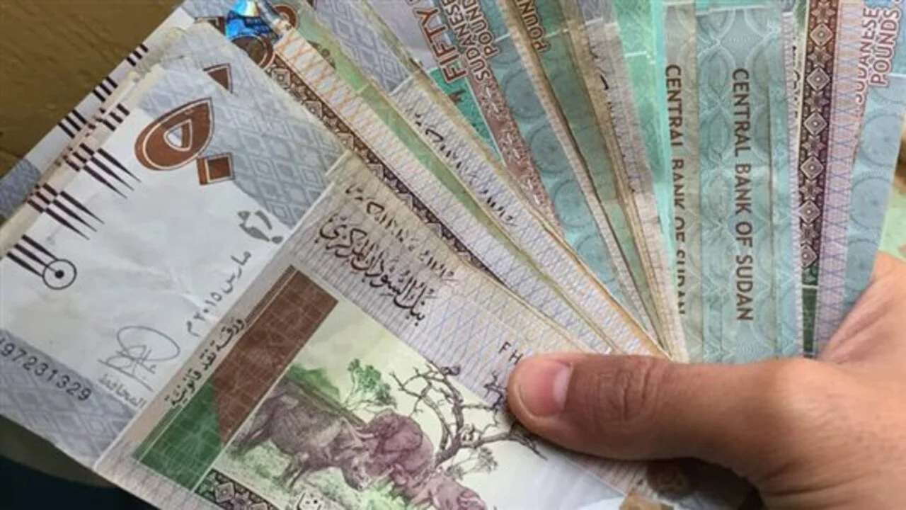 تراجع ملحوظ.. سعر الجنيه السوداني مقابل الدولار اليوم الثلاثاء 11 فبراير 2025