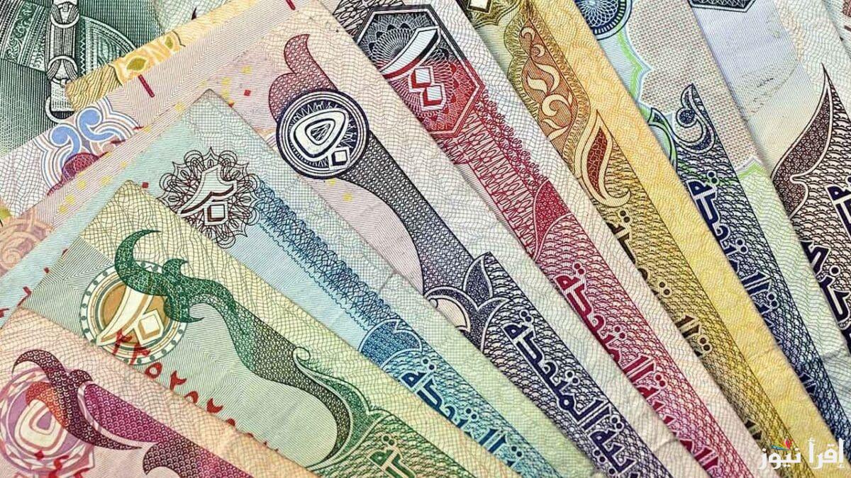 “الدرهم وصل كام” سعر الدرهم الإماراتي اليوم الخميس 13 فبراير 2025 مقابل الجنيه المصري