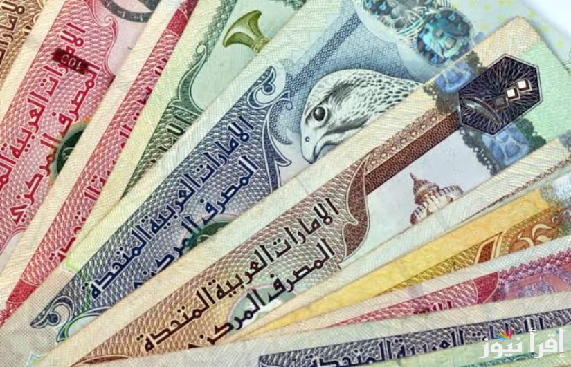 “الدرهم وصل كام” سعر الدرهم الإمارتي في البنوك المصرية اليوم الأربعاء 5 فبراير 2025