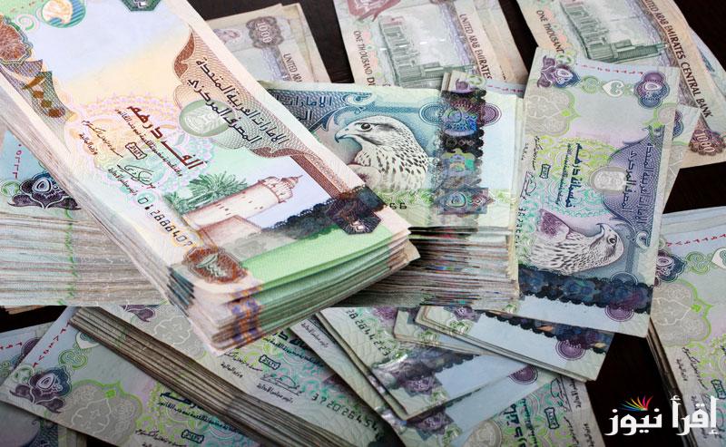 آخر تحديث .. سعر الدرهم الاماراتي اليوم مقابل الجنيه المصري السبت 1 فبراير 2025 في السوق السوداء والبنوك