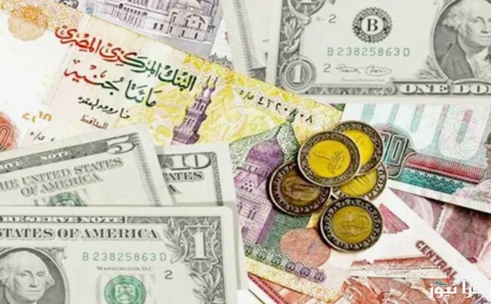 الـDollar سحق الجنية المصري .. سعر الدولار اليوم السبت 15 فبراير 2025 داخل مختلف البنوك المصرية