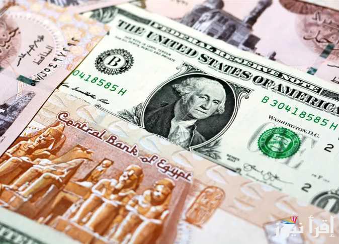 “الأخضر وصل كام” سعر الدولار الأمريكي اليوم السبت 15 فبراير 2025 في السوق السوداء والبنوك المصرية