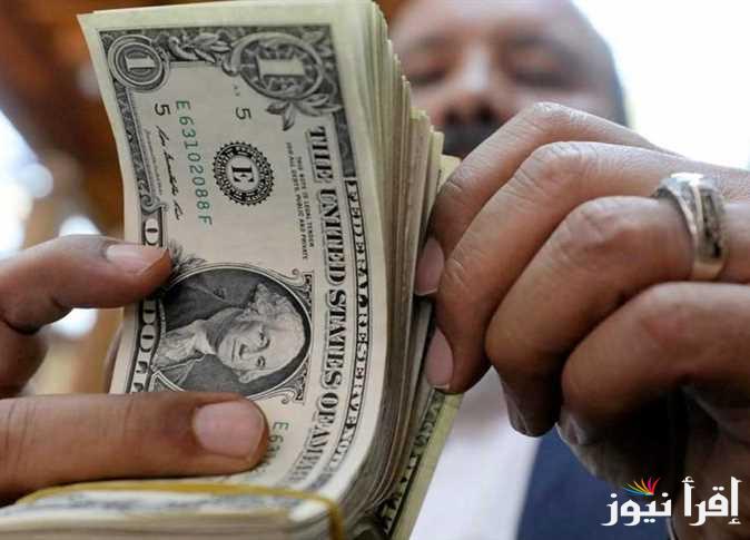 ” الأخضر وصل كام ” سعر الدولار اليوم مقابل الجنية المصري الأربعاء 19 فبراير 2025 في السوق السوداء
