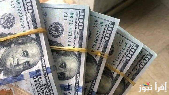 الأخضر وصل كام ؟.. سعر الدولار مقابل الجنية المصري اليوم الاثنين 24 فبراير 2025 في السوق السوداء