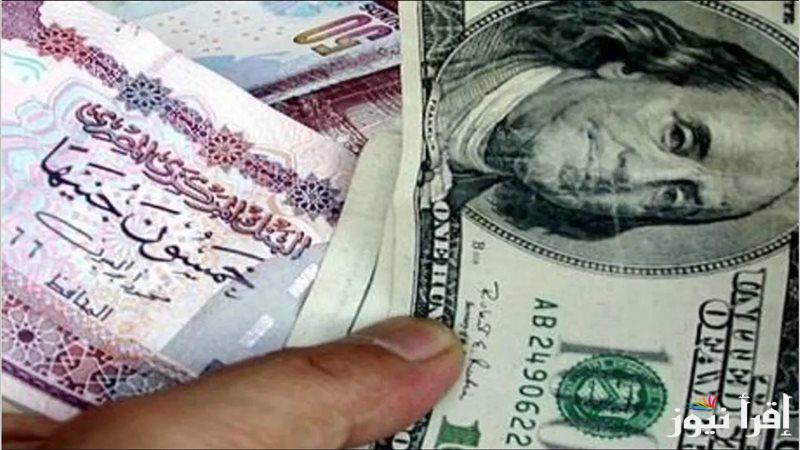 “تراجع وهبوط عنيف” سعر الدولار في السوق السوداء اليوم الثلاثاء 18 فبراير 2025 مقابل الجنيه المصري