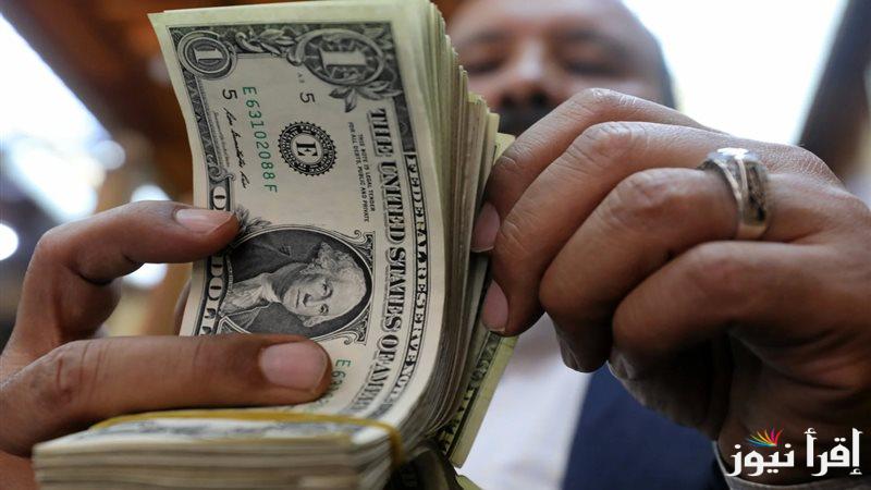 الـــ usd مقابل egp …سعر الدولار في السوق السوداء اليوم الخميس 6 فبراير 2025 والبنوك المصرفية التجارية والحكومية