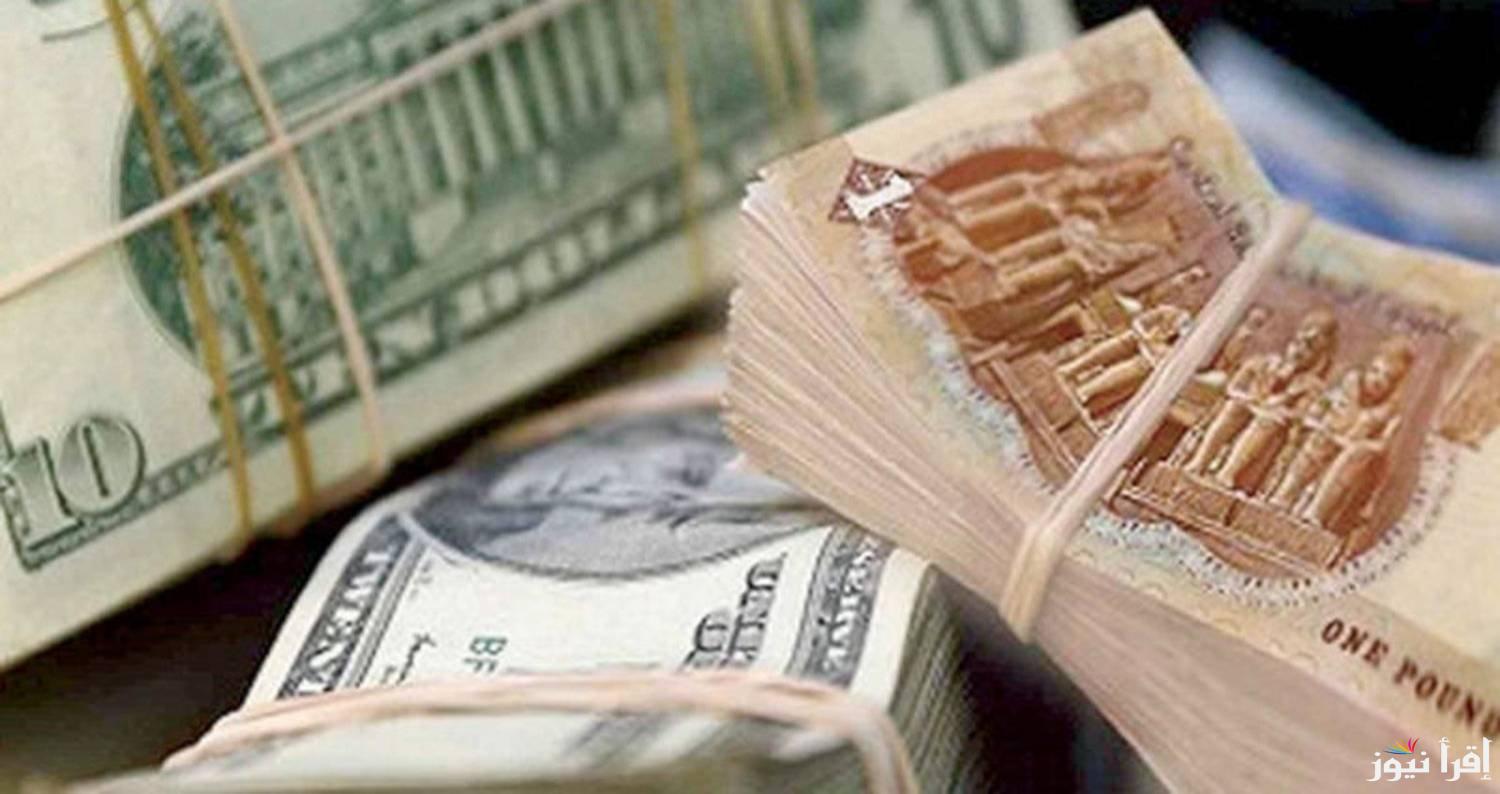 يشهد استقرار جديد .. سعر الدولار في السوق السوداء اليوم الأحد 2 فبراير 2025 واخر تحديث من داخل البنوك المصرية