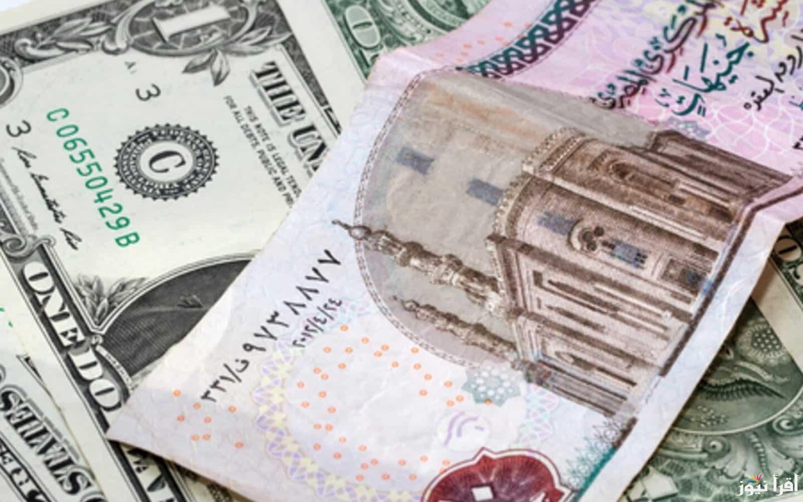 “فاير في ($) USD” سعر الدولار مقابل الجنيه المصري اليوم الثلاثاء 25 فبراير 2025 وأسعار الصرف في مختلف البنوك