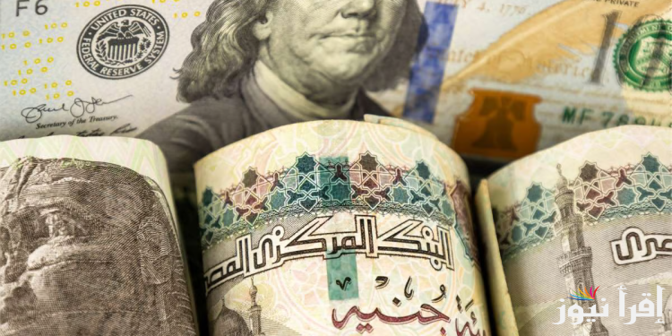 “هزة قوية” سعر الدولار مقابل الجنيه المصري اليوم الأثنين 10 فبراير في البنوك والسوق السوداء