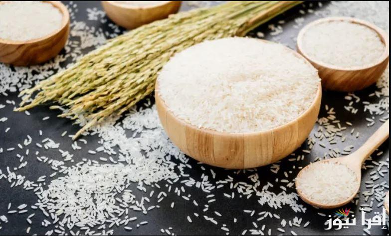 خزني قبل موسم رمضان… سعر طن الأرز الشعير اليوم السبت 22 فبراير 2025 الحبة العريضة والرفيعة للمستهلك