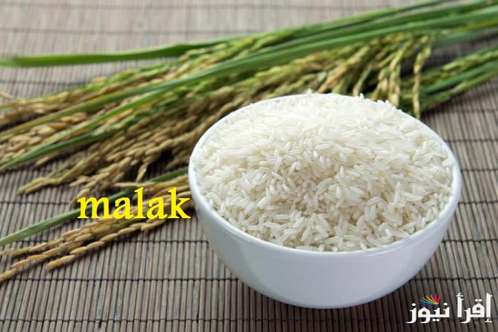 “اشتري قبل رمضان” سعر طن الأرز الشعير اليوم الأحد 23 فبراير 2025 في الاسواق المحلية وللمستهلك